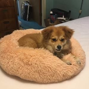 Meet your Posher, Linda